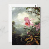 Kolibrie zit, fine art, briefkaart (Voorkant / Achterkant)