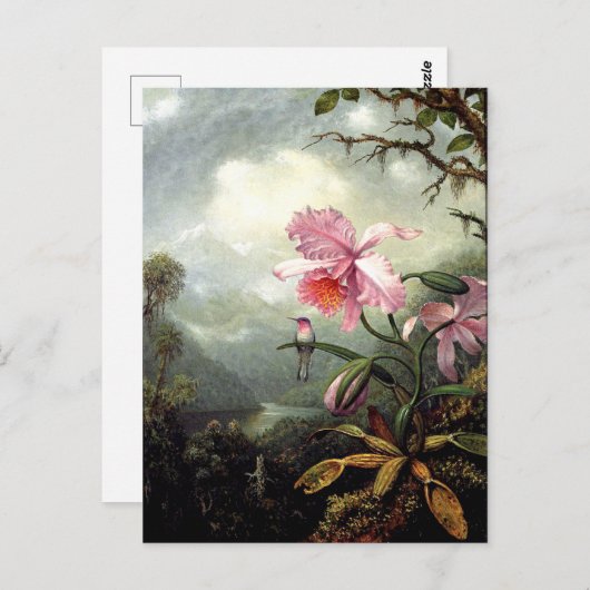 Kolibrie zit, fine art, briefkaart (Voorkant / Achterkant)