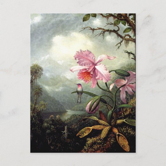 Kolibrie zit, fine art, briefkaart (Voorkant)