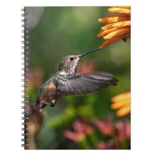 Kolibrie zweven met bloemen - Wildlife Foto Notitieboek
