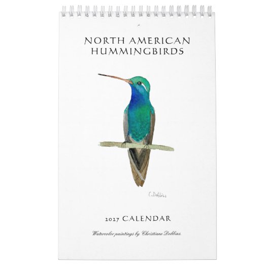 Kolibriekalender Kalender (Hoes)