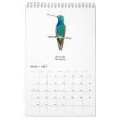 Kolibriekalender Kalender (Mar 2027)