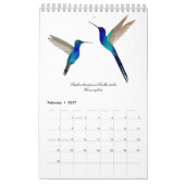 Kolibriekalender Kalender (Feb 2027)
