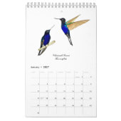 Kolibriekalender Kalender (Jan 2027)