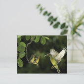 kolibriemoeder briefkaart (Staand voorkant)