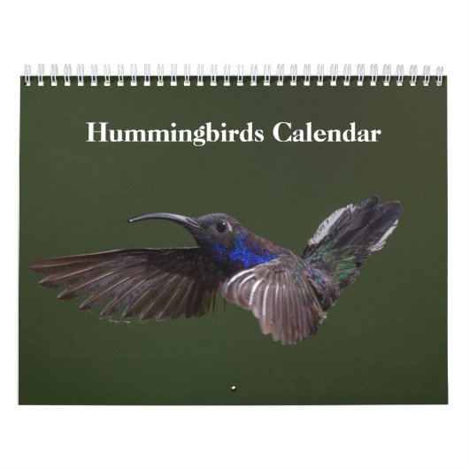 Kolibries 2027 kalender (Hoes)