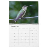 Kolibries 2027 kalender (Jan 2027)