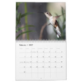 Kolibries 2027 kalender (Feb 2027)