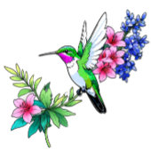 Kolibries: de luchtjuwelen van de Natuur T-shirt