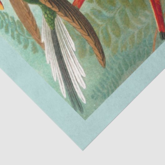 Kolibries Decoupage Tissue Paper Tissuepapier (Detail)