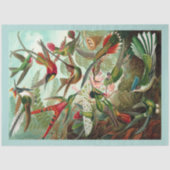 Kolibries Decoupage Tissue Paper Tissuepapier (Voorkant)