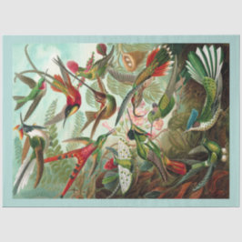 Kolibries Decoupage Tissue Paper Tissuepapier