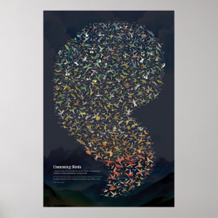 Kolibries - Donker Poster
