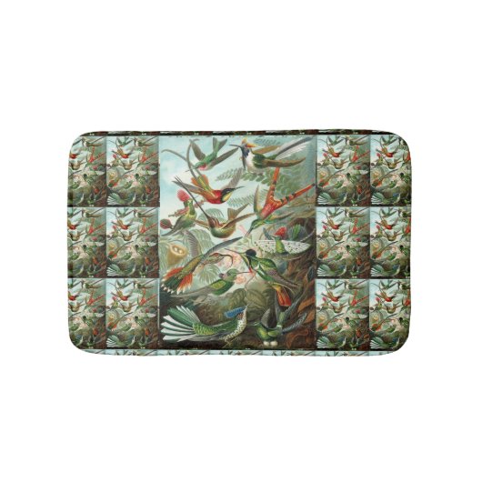Kolibries door Ernst Haeckel, Oude vogels bomen Badmat (Voorkant)