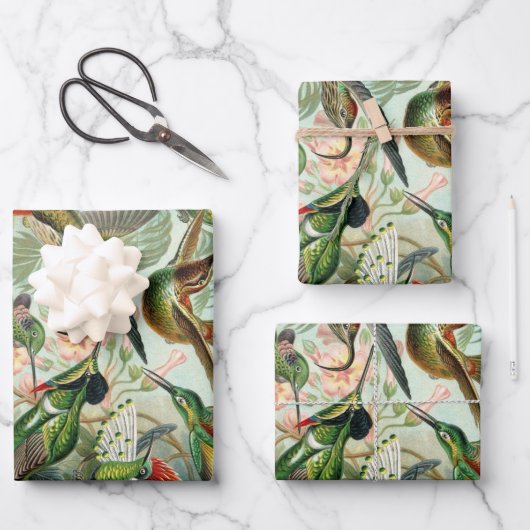 Kolibries door Ernst Haeckel, Oude vogels bomen Inpakpapier Vel (Voorkant)