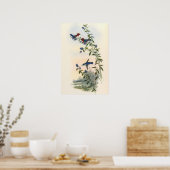 Kolibries door John Gould Poster (Keuken)