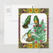 Kolibries en Bloemen #1 Briefkaart (Voorkant / Achterkant)