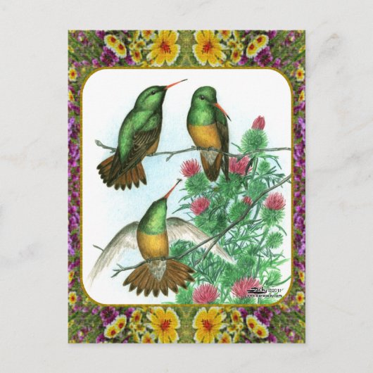 Kolibries en Bloemen #1 Briefkaart (Voorkant)