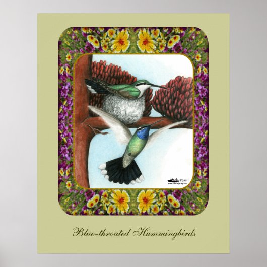 Kolibries en Bloemen #3 Poster (Voorkant)