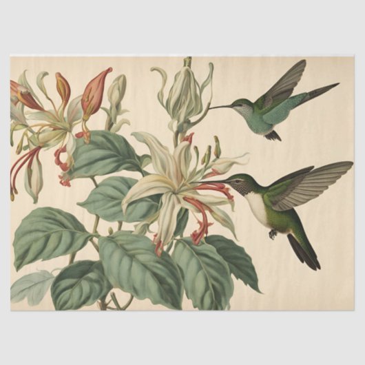  kolibries en kamperfoelie Decoupage Tissuepapier (Voorkant)