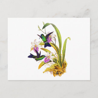 Kolibries en Paarse Orchideeën Briefkaart