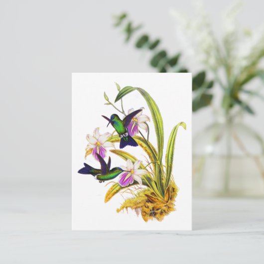 Kolibries en Paarse Orchideeën Briefkaart (Staand voorkant)