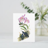Kolibries en Roze Orchideeën Briefkaart (Staand voorkant)