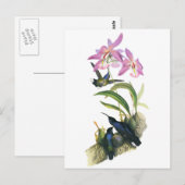 Kolibries en Roze Orchideeën Briefkaart (Voorkant / Achterkant)
