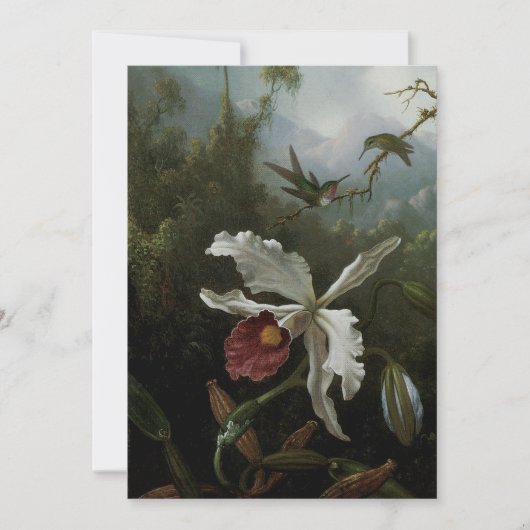 Kolibries en Witte Orchidee door Martin J. Heade (Voorkant)