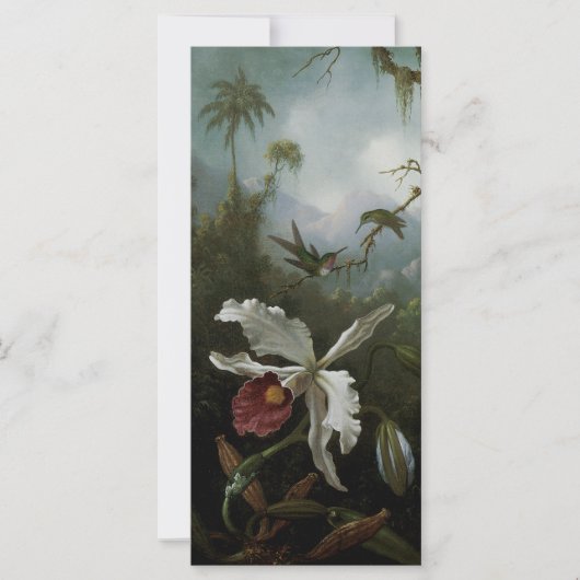 Kolibries en witte orchidee door Martin J. Heade (Voorkant)