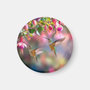 Kolibries Fuchsia Bloemen Iridiserende Gloed Magneet
