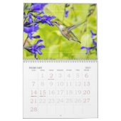 Kolibries het hele jaar door kalender (Feb 2027)