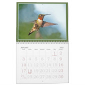 Kolibries het hele jaar door kalender (Jan 2027)
