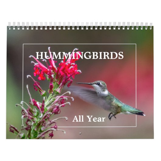 Kolibries het hele jaar door kalender (Hoes)