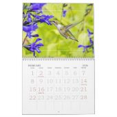 Kolibries het hele jaar door kalender (Feb 2026)