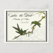 Kolibries in Swirls - Save the Date Briefkaart (Voorkant)