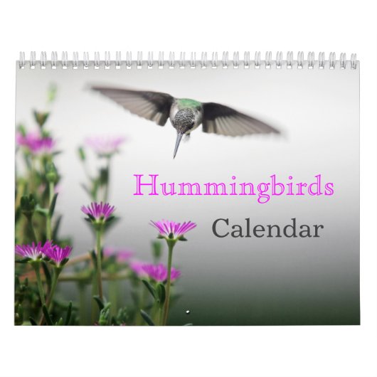 KOLIBRIES KALENDER (Hoes)