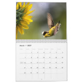 KOLIBRIES KALENDER (Mar 2027)