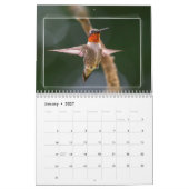 KOLIBRIES KALENDER (Jan 2027)