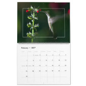 KOLIBRIES KALENDER (Feb 2027)