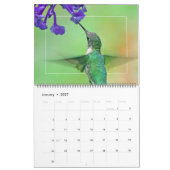 KOLIBRIES KALENDER (Jan 2027)