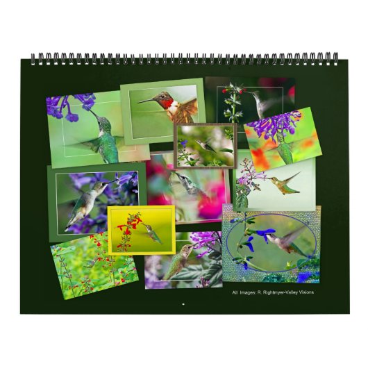 KOLIBRIES KALENDER (Hoes)
