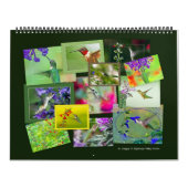 KOLIBRIES KALENDER (Hoes)