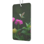 Kolibries keer twee auto luchtverfrisser (Links)