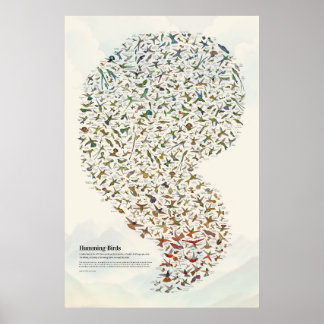 Kolibries - Licht Poster