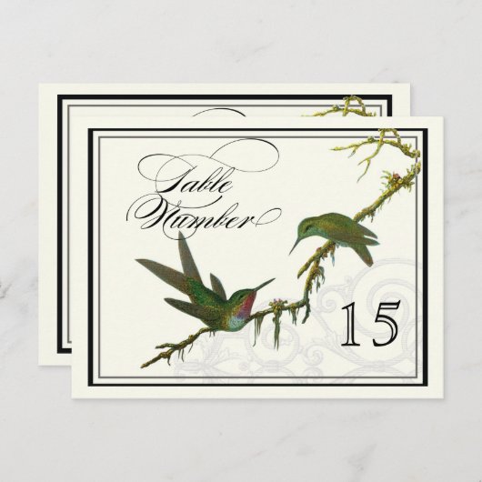 Kolibries n Swirls - Tafel Plaatskaart Nummers Briefkaart (Voorkant / Achterkant)