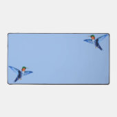 Kolibries op lichtblauw bureaumat (Voorkant)
