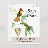 Kolibries Save the Date Briefkaart (Voorkant / Achterkant)