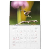 Kolibries, Tiny Summer Visitors Kalender (Feb 2027)