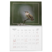 Kolibries, Tiny Summer Visitors Kalender (Mar 2027)